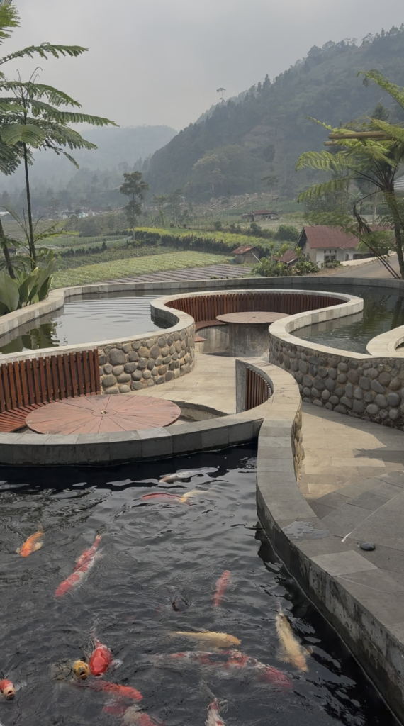 Koi pond overlooking terraced farmland at GUMA Landscape Cafe & Villa in Central Java.