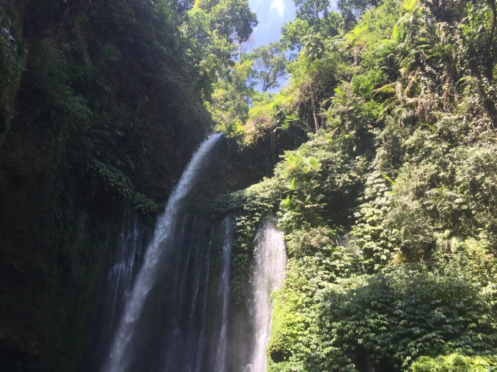 Sekumpul Waterfall surrounded by dense tropical forest in North Bali, Indonesia