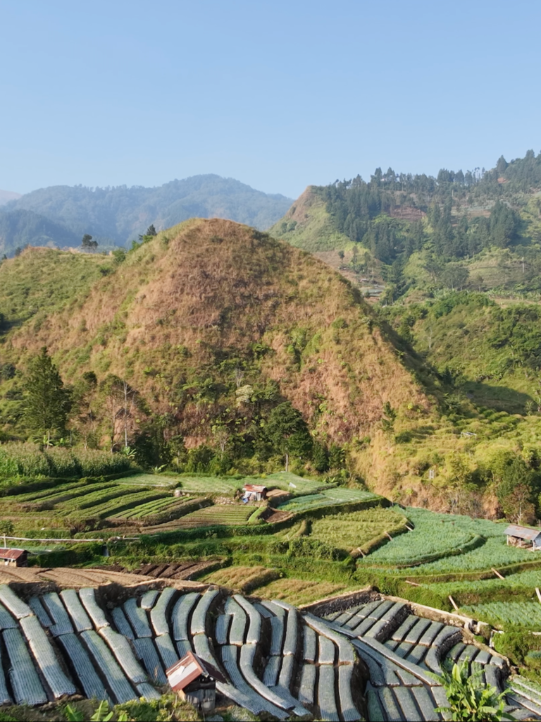 Vegetable fields and misty mountain hills near Tegal, Central Java, Indonesia