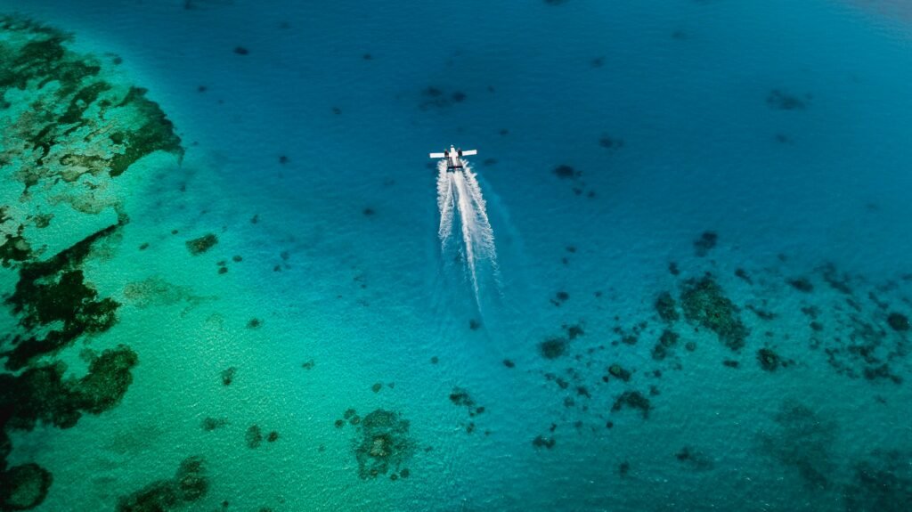 view of a seaplane from above